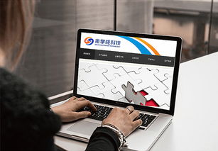 智慧互聯(lián)，專業(yè)信賴——金掌柜電子科技公司LOGO設(shè)計(jì)方案